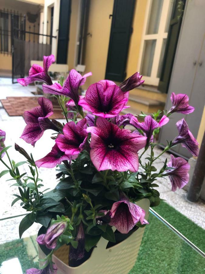 Le Palme Διαμέρισμα Μπολόνια Εξωτερικό φωτογραφία